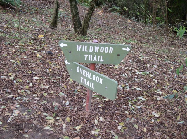 11.06.05 Wildwood Trail 011 